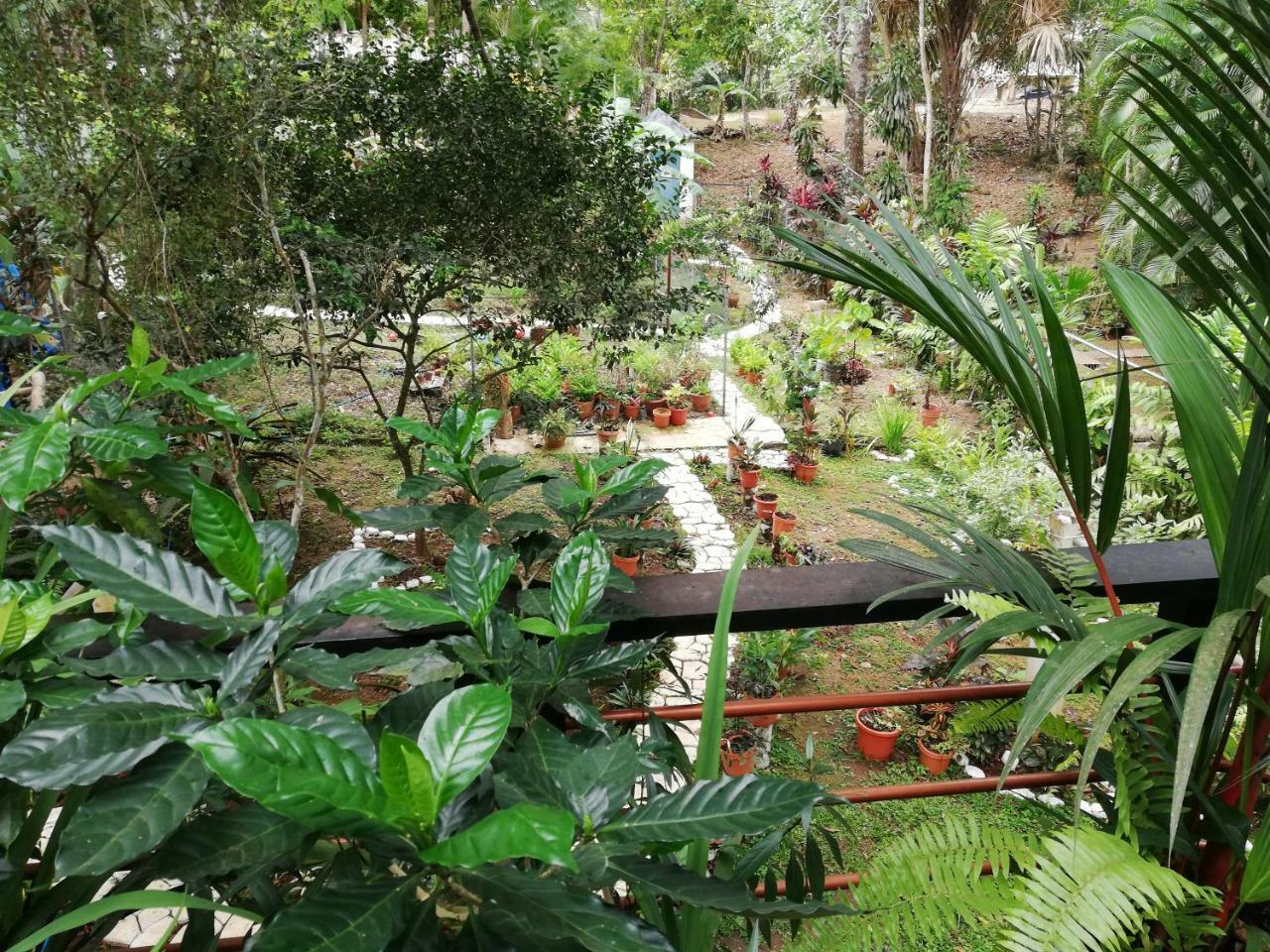 Vila Casa Completa En Gamboa, Canal De Panama Exteriér fotografie